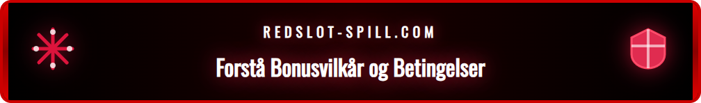 Spiller som leser bonusvilkår med forstørrelsesglass på en dataskjerm.